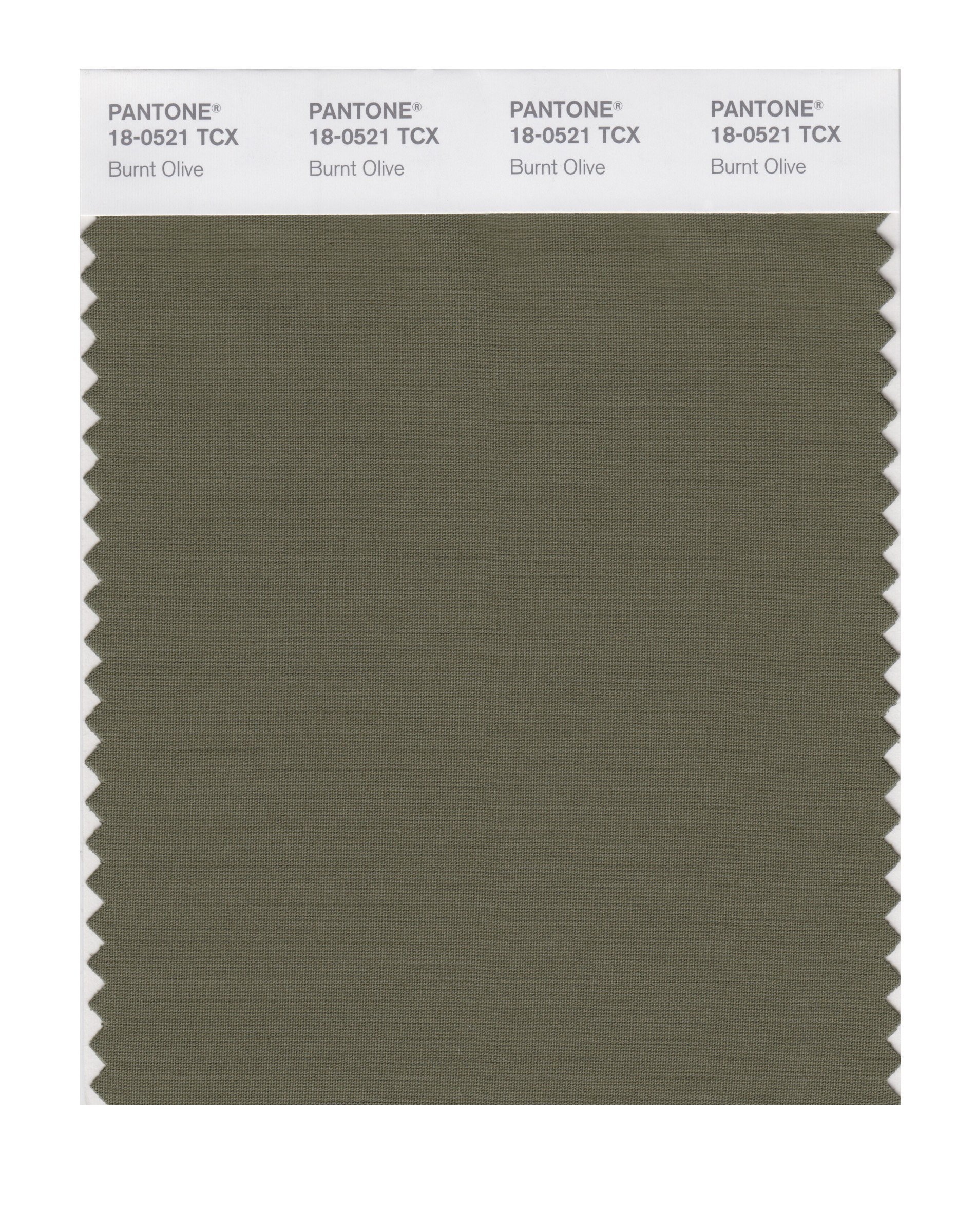 PANTONE Smart 18-0521X Color Swatch Card, Burnt Olive - House
